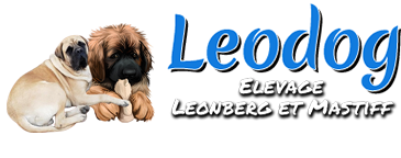 Leodog